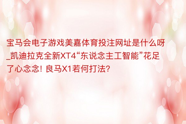 宝马会电子游戏美嘉体育投注网址是什么呀_凯迪拉克全新XT4“东说念主工智能”花足了心念念! 良马X1若何打法?